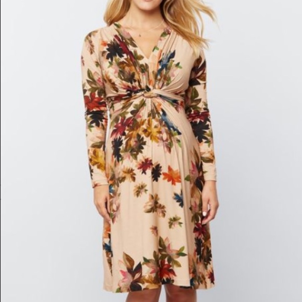 Pietro Brunelli maternity dress